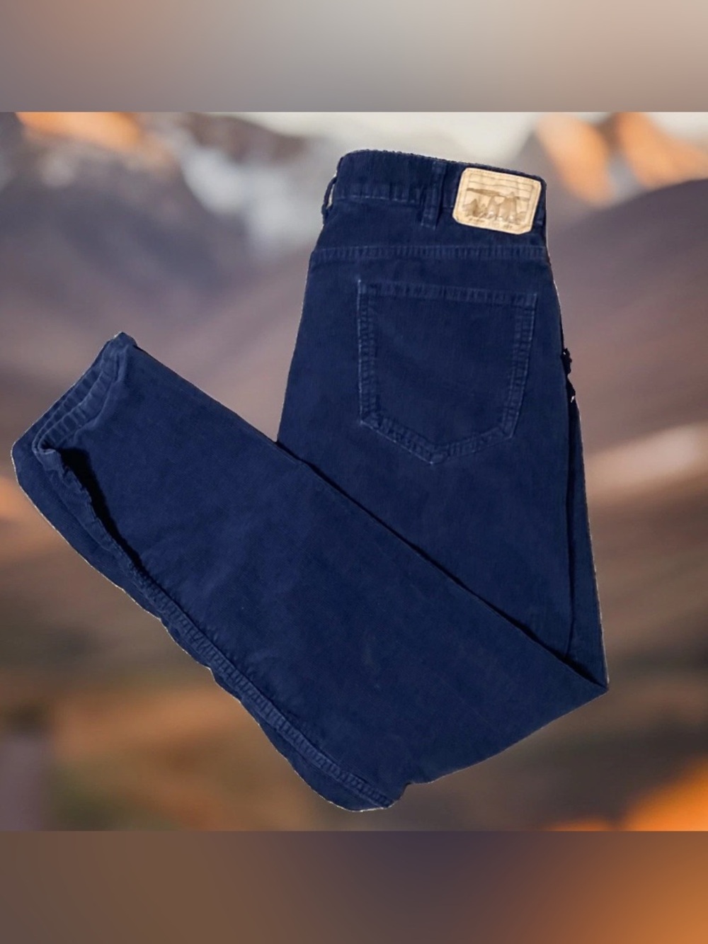 Patagonia Mens 34x32 Blue Corduroy Pants Regular Straight Organic Cotton Jeans